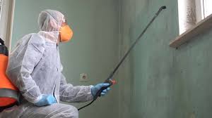 Reliable Pine Grove, PA Mold Remediation Solutions