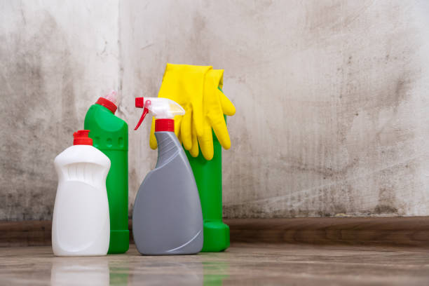 Mold Remediation for Rental Properties in Pine Grove, PA